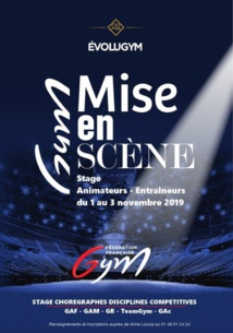 GPT : Stage Gym Scéno - Novembre 2019 GPT : Stage Gym Scéno - Novembre 2019