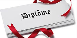 BPJEPS/DG Acrobatiques 