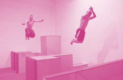 PARKOUR : Animateur Fédéral  PARKOUR : Animateur Fédéral