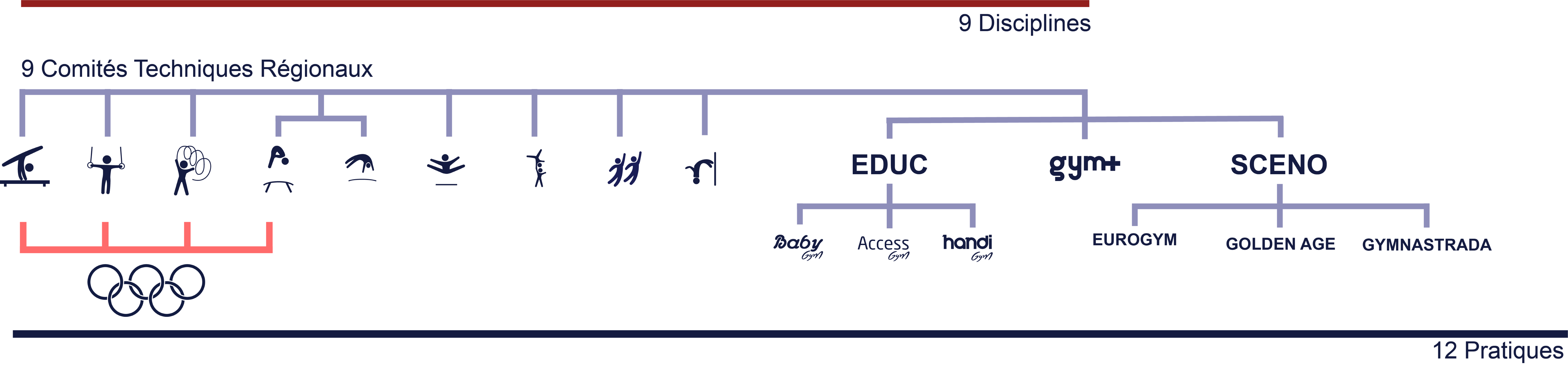 9 disciplines - 12 pratiques