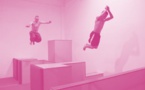 PARKOUR : Animateur Fédéral 