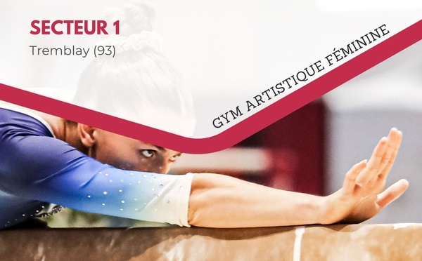 GAF : Organigrammes Provisoires Individuelles ID